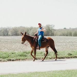 Meet your Posher, Jon